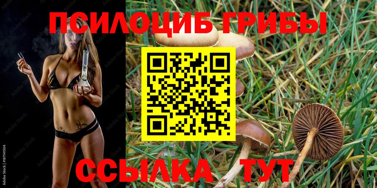 Псилоцибиновые грибы ЛСД Дербент