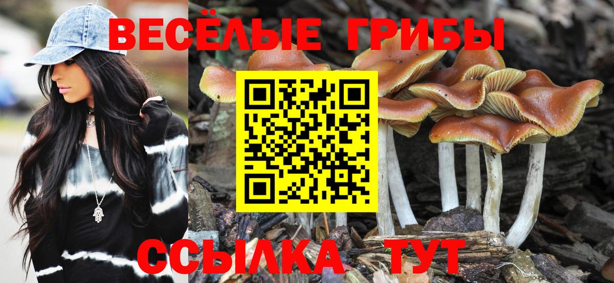 Галлюциногенные грибы Cubensis  Вход с VPN  Дербент  Псилоцибиновые грибы мухоморы 